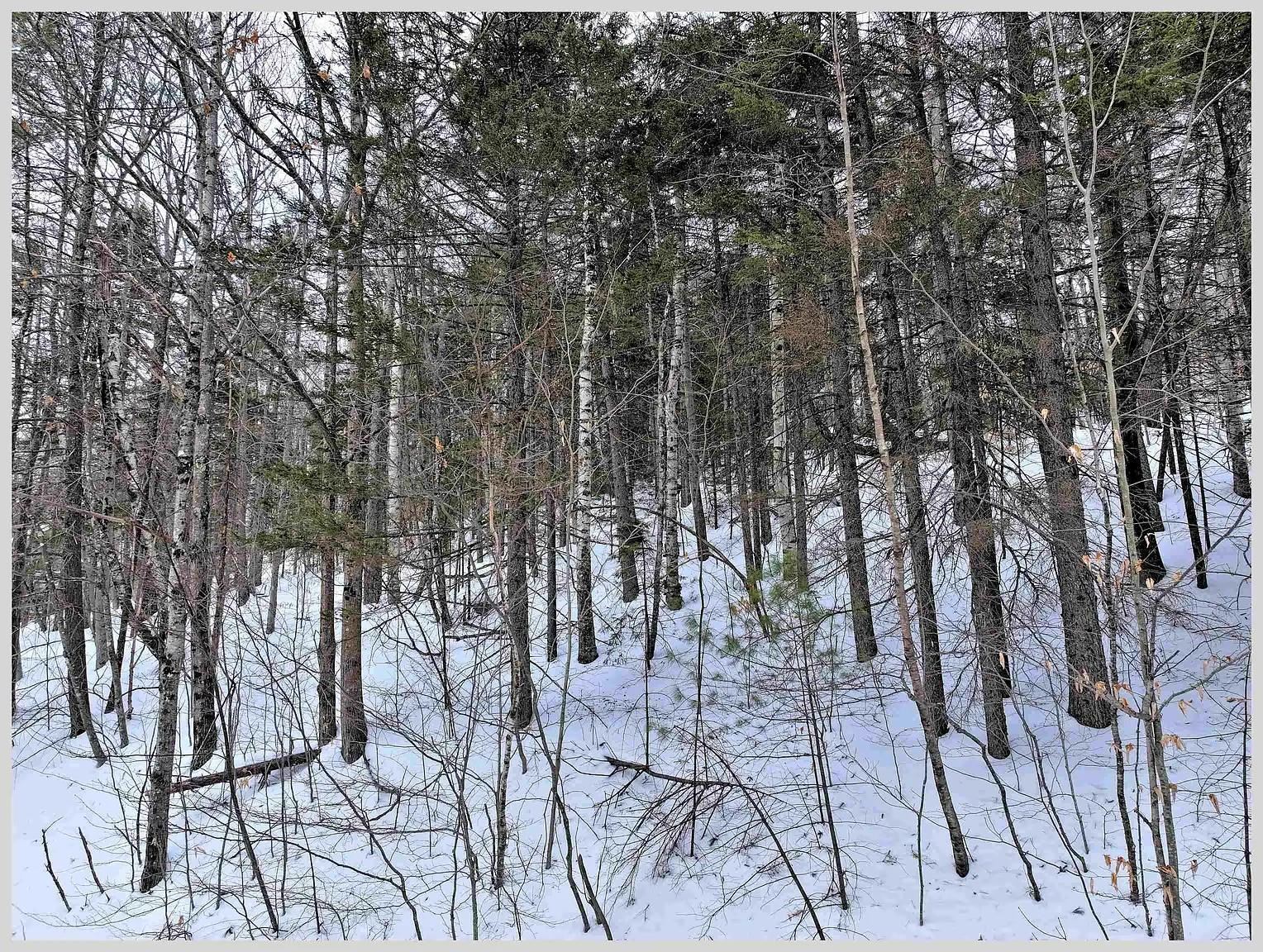 10 Issax Fox Road D-10, Section 10