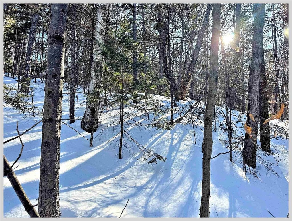 Photo of 10 Issax Fox Road #D-10, Section 10, Campton, NH 03223 (MLS # 5074571)