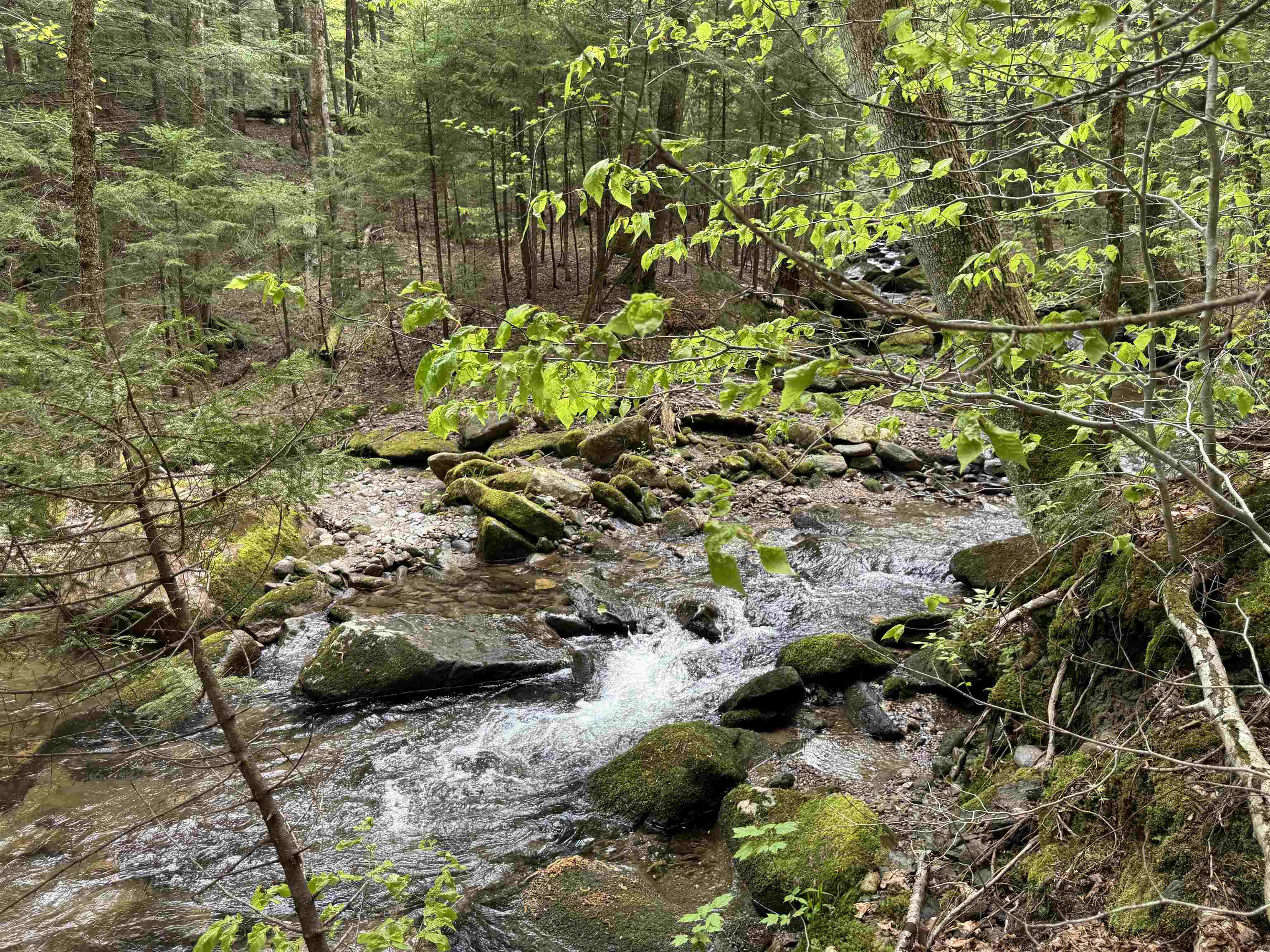Lot 4 Old Mill Crossing