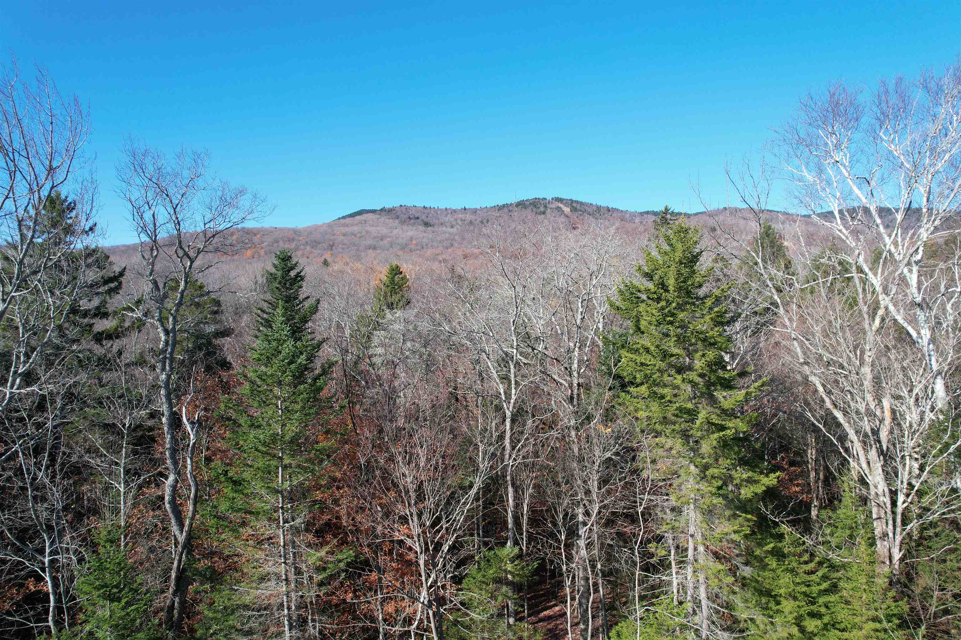 Lot 4 Old Mill Crossing