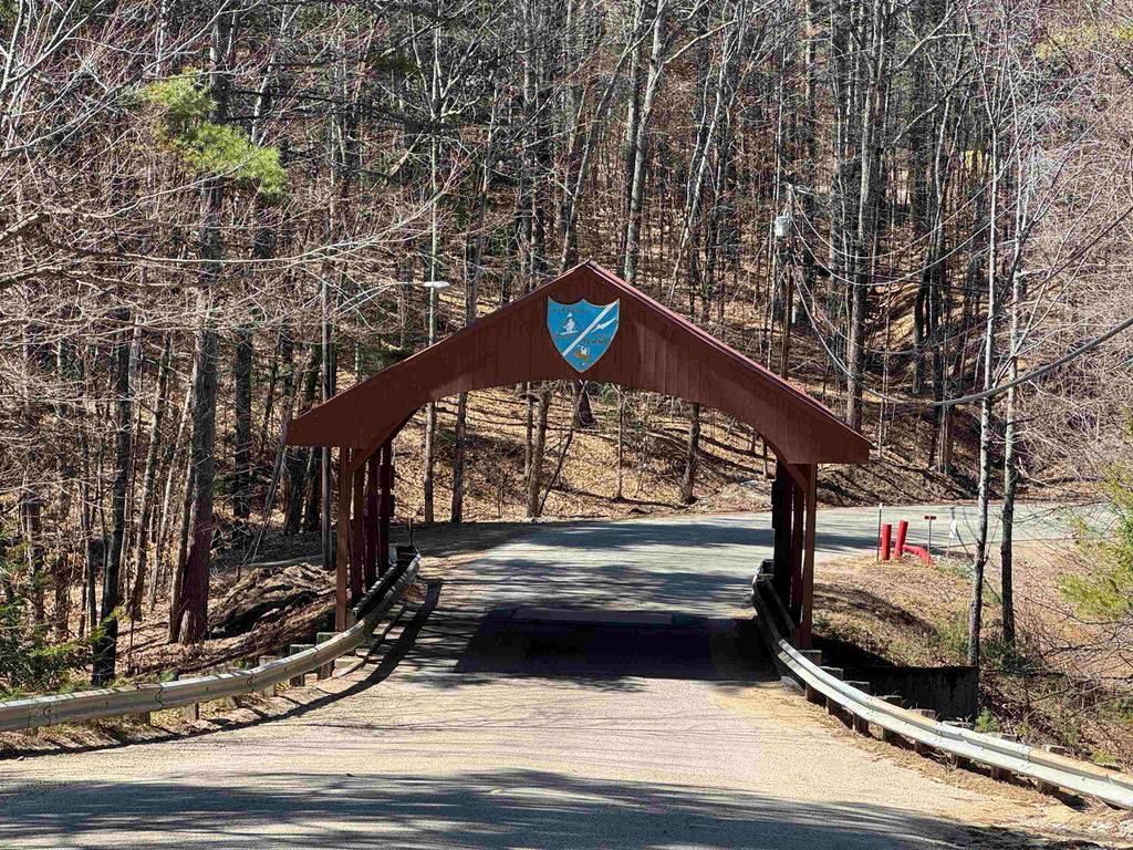 Photo of 71 Mason Drive, Tamworth, NH 03886 (MLS # 5082975)