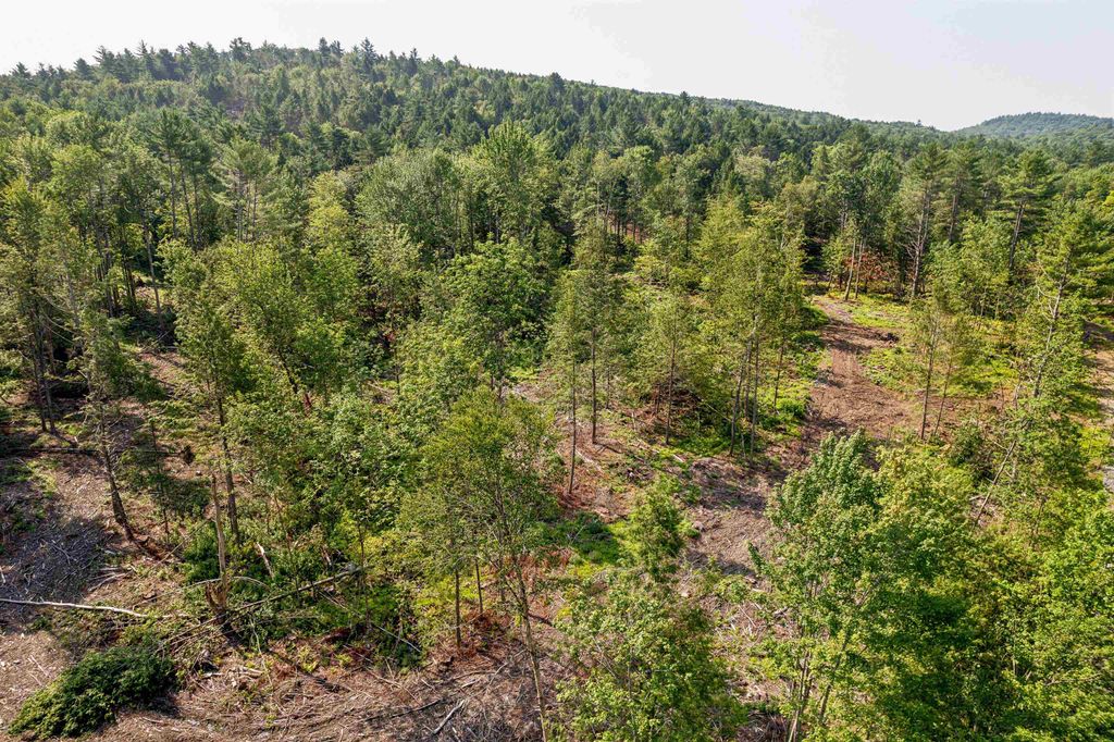 Photo of 00 Court Street #1-4, Haverhill, NH 03765 (MLS # 5087970)