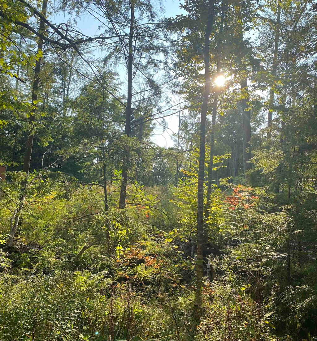 Photo of 17 Autumn Road, Hillsborough, NH 03244 (MLS # 5033623)