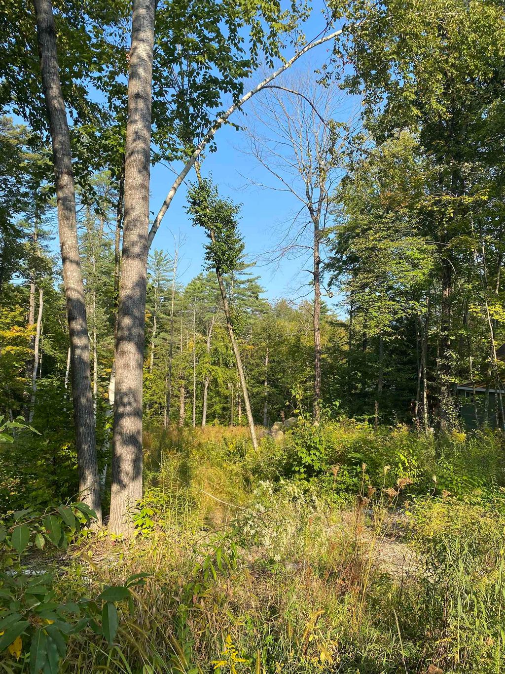 Photo of 17 Autumn Road, Hillsborough, NH 03244 (MLS # 5033623)