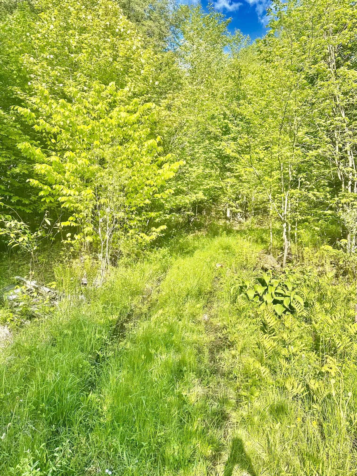 Wolcott, Vermont 05680, United States, 2 Bedrooms Bedrooms, ,1 BathroomBathrooms,Residential,Active,139171