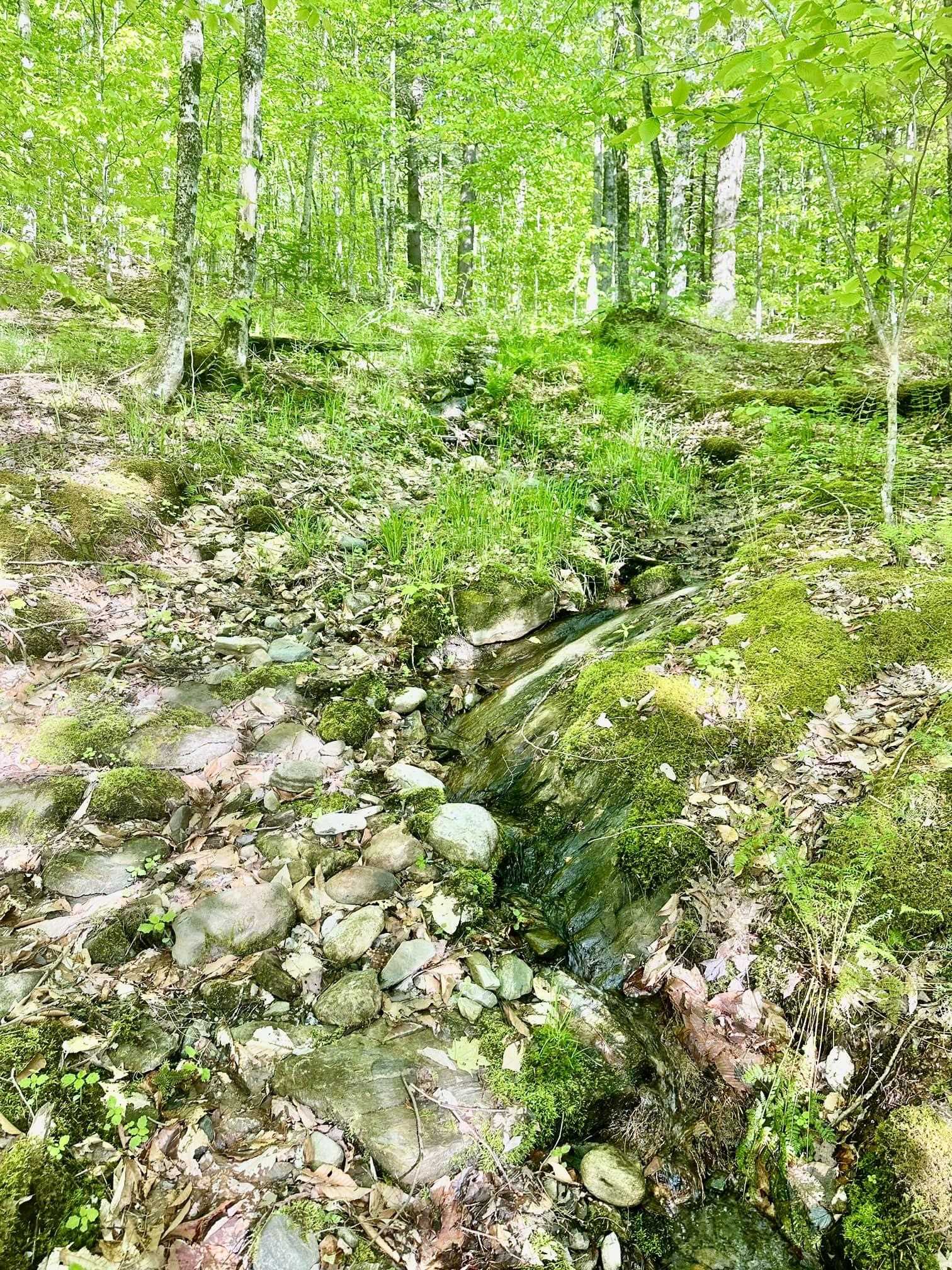 Wolcott, Vermont 05680, United States, 2 Bedrooms Bedrooms, ,1 BathroomBathrooms,Residential,Active,139171