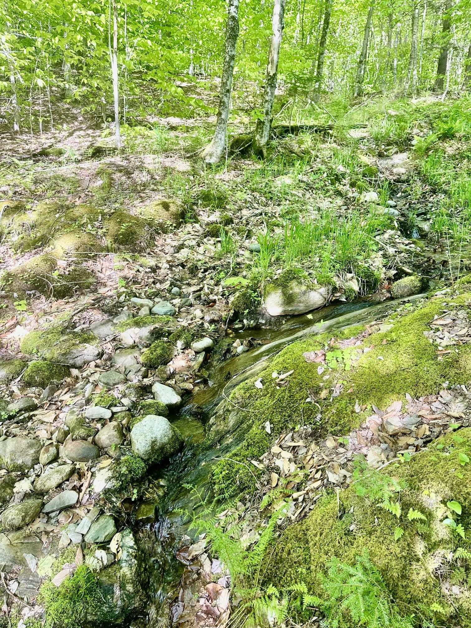 Wolcott, Vermont 05680, United States, 2 Bedrooms Bedrooms, ,1 BathroomBathrooms,Residential,Active,139171