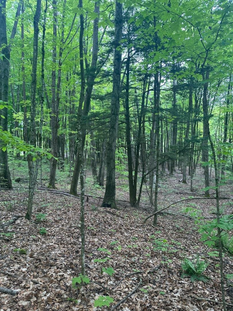 00 Observatory Road 6