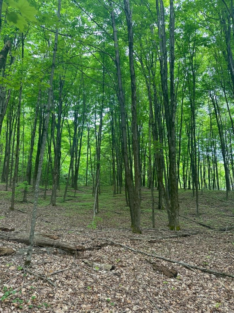 00 Observatory Road 6