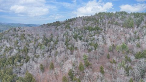 00 100 Route Jamaica VT 05343