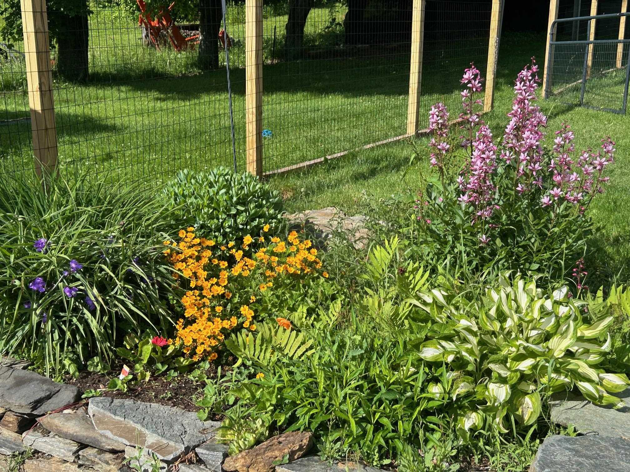 1700 Cadys Falls Road