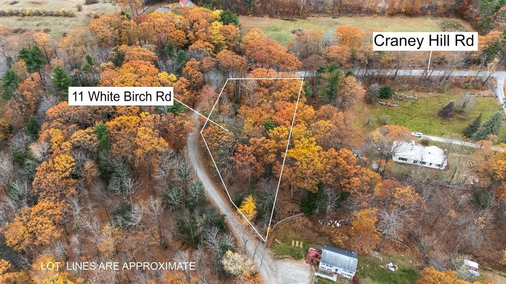 Photo of 11 White Birch Road, Henniker, NH 03242 (MLS # 5069110)