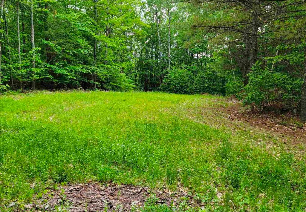 Photo of 1195 Bennington Road, Francestown, NH 03043 (MLS # 5078542)
