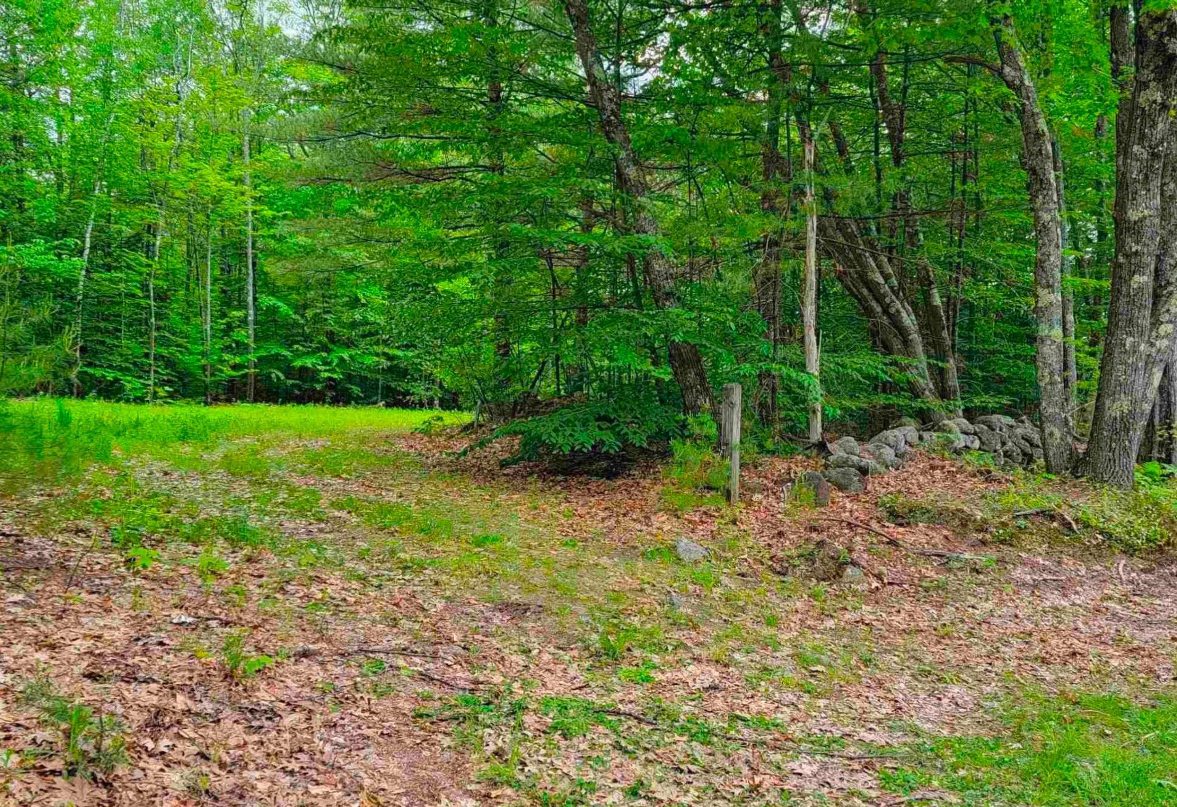 1195 Bennington Road