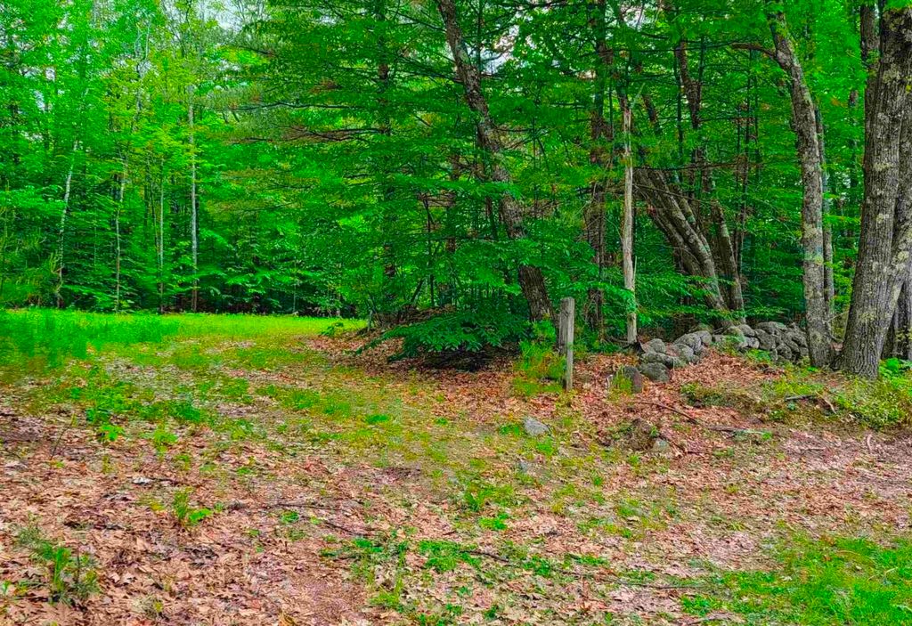 Photo of 1195 Bennington Road, Francestown, NH 03043 (MLS # 5078542)