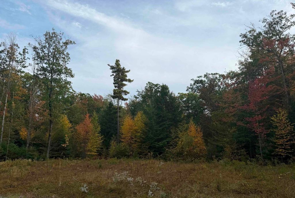 Photo of 1195 Bennington Road, Francestown, NH 03043 (MLS # 5078542)