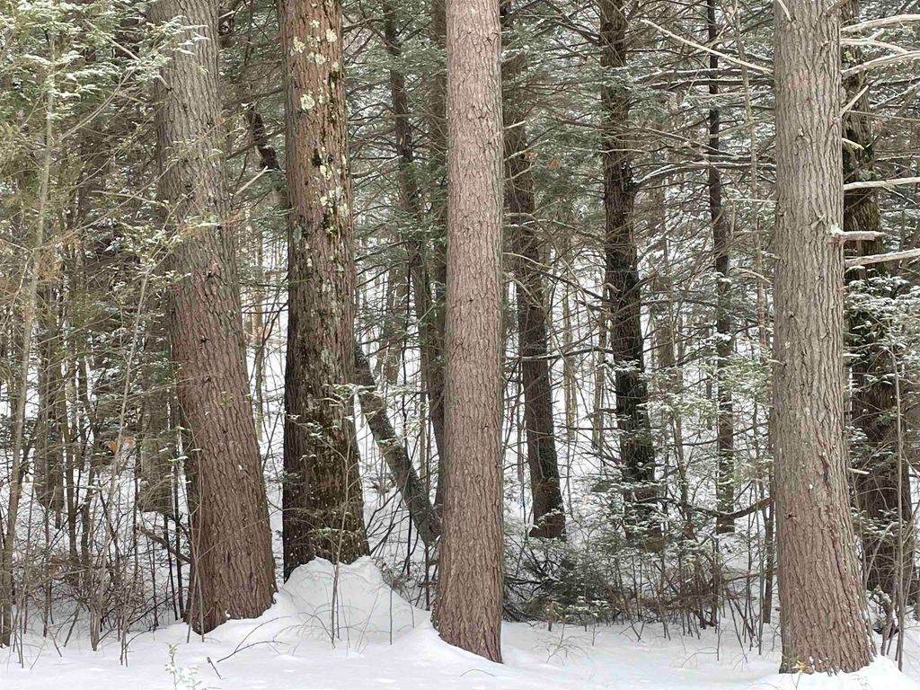 Photo of 000 Gibson Mountain Road, Antrim, NH 03440 (MLS # 5076059)