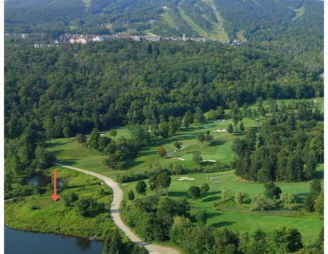 97 North Branch Road H4 Winhall VT 05340