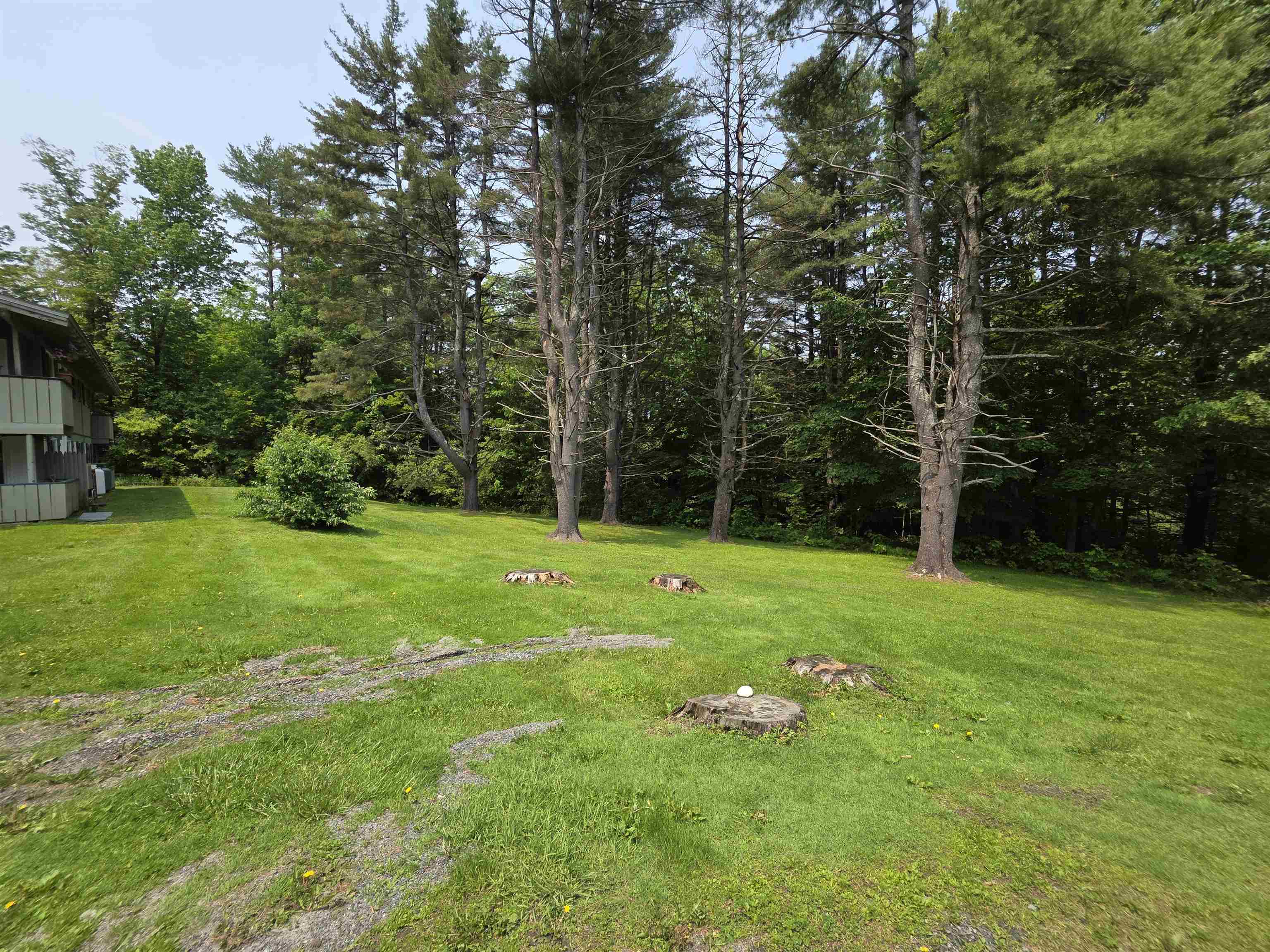 814 Ski Tow Road 3