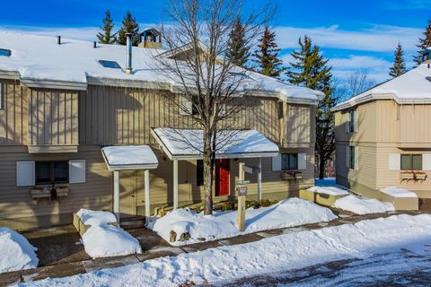 92 Founders Hill Road 5a Stratton VT 05155