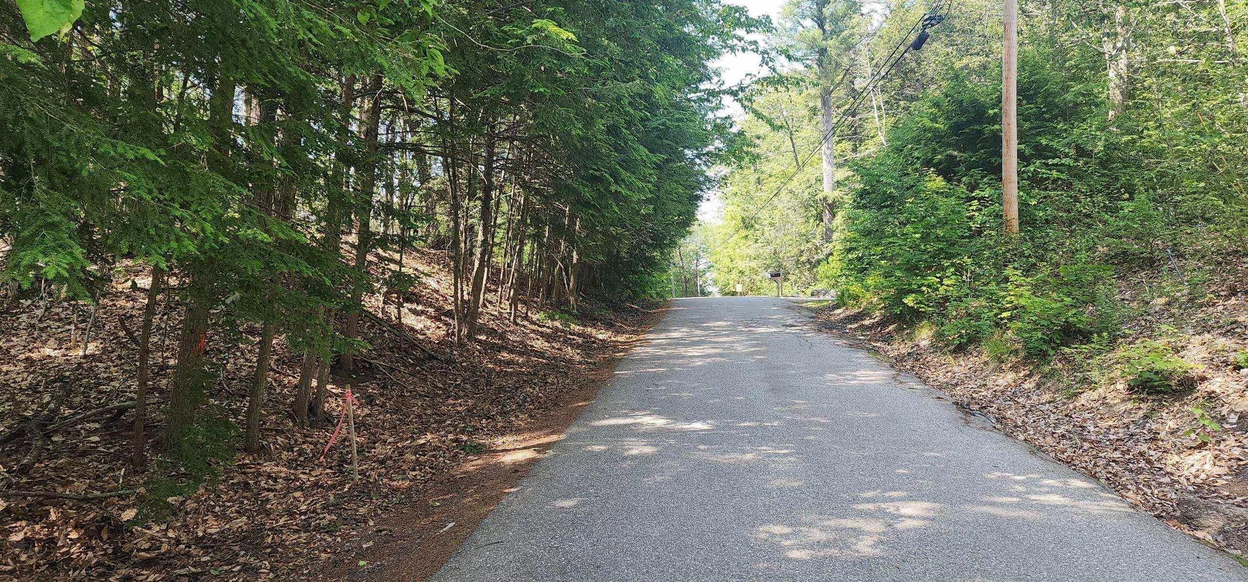 Map 223 lot 31 Access Road 31