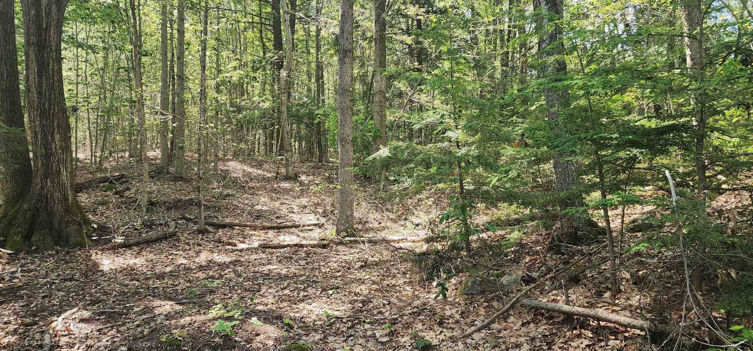 Map 223 lot 31 Access Road 31