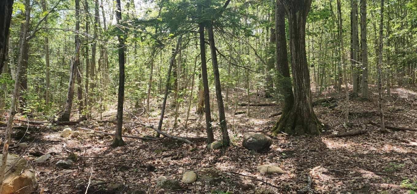 Map 223 lot 31 Access Road 31