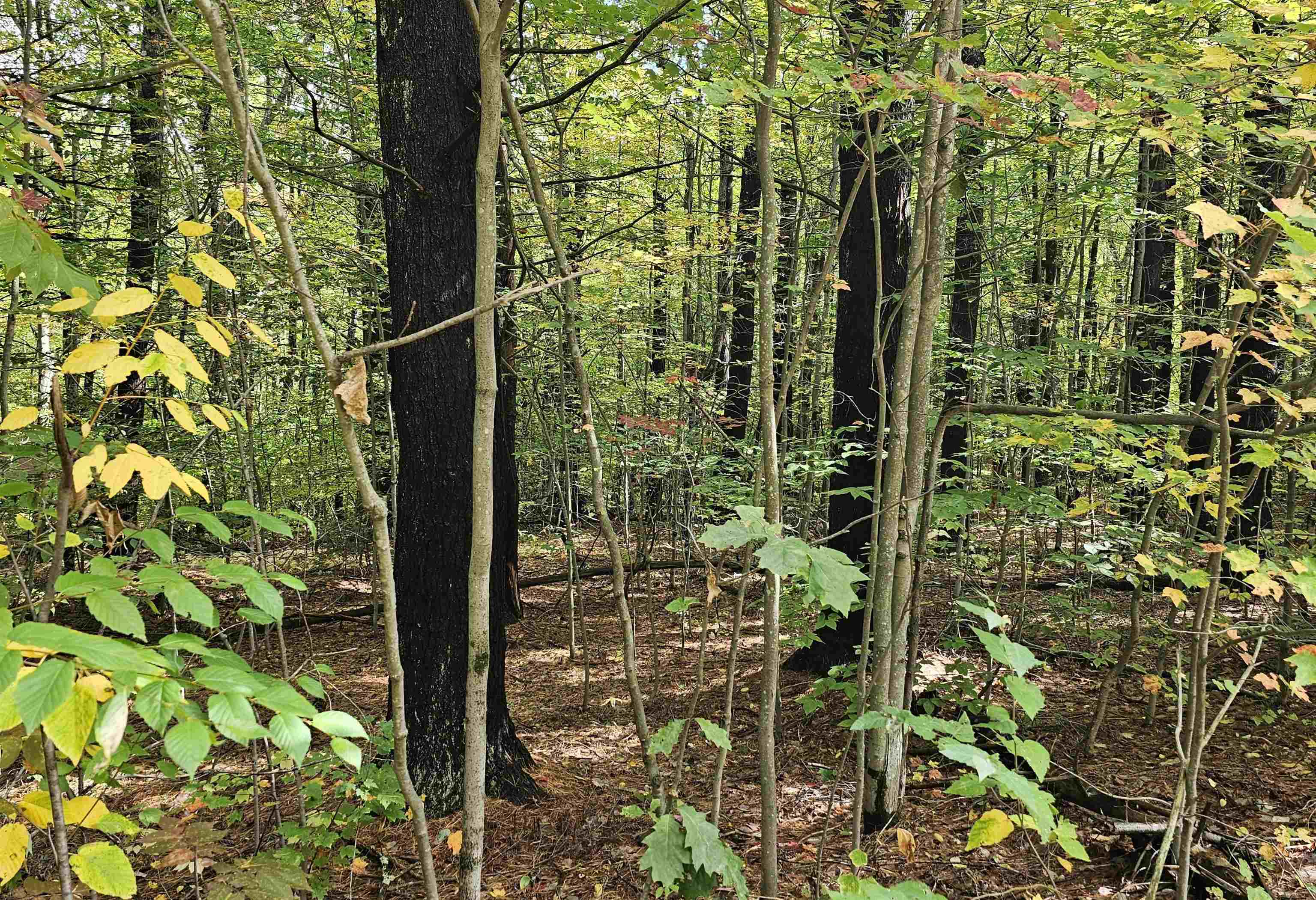 586 C-4 Craney Hill Road