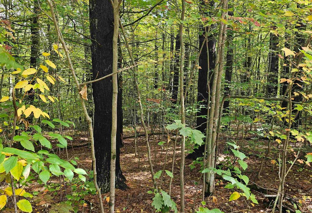 Photo of 5864 Craney Hill Road, Henniker, NH 03242 (MLS # 5063267)