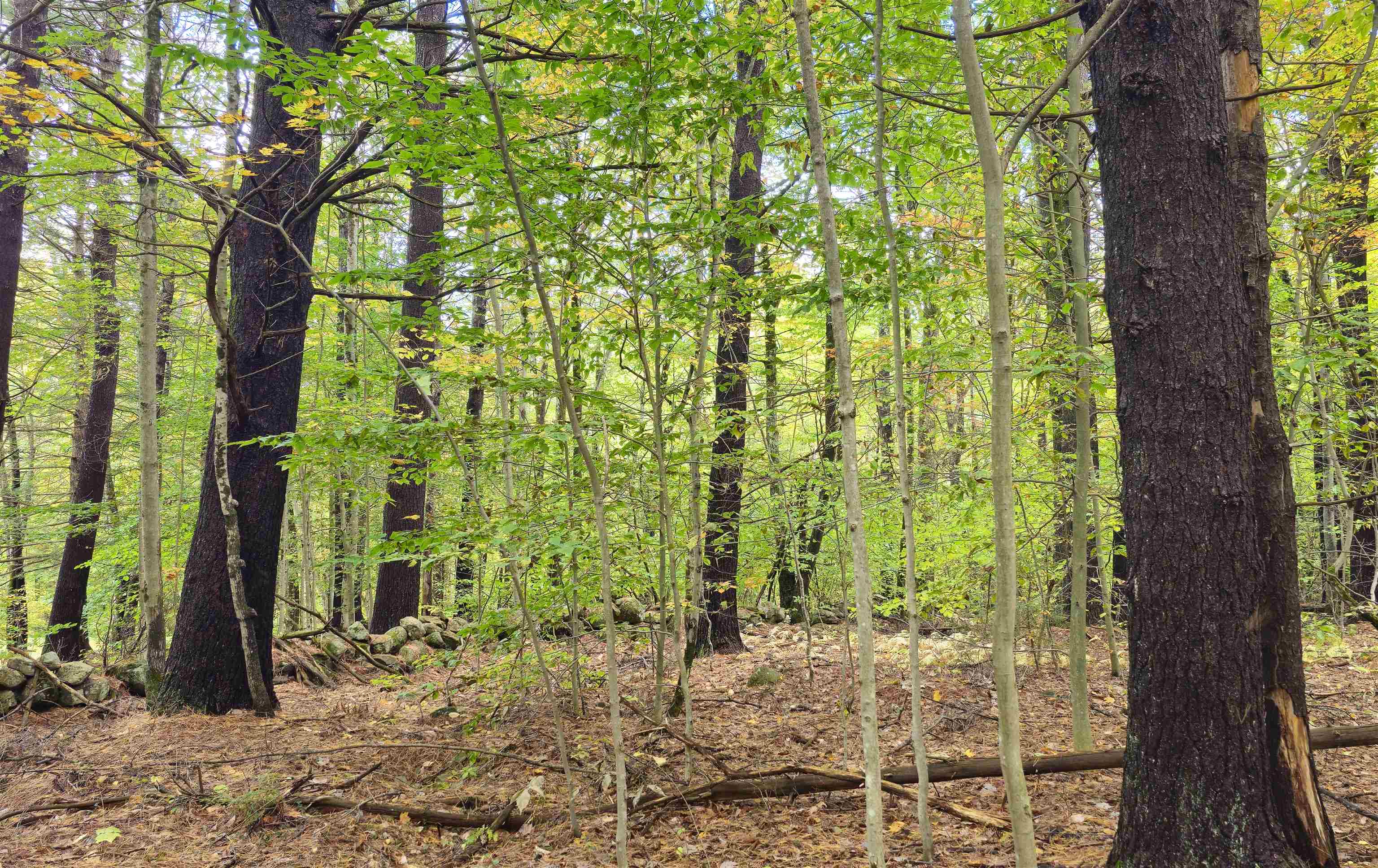 586 C-4 Craney Hill Road