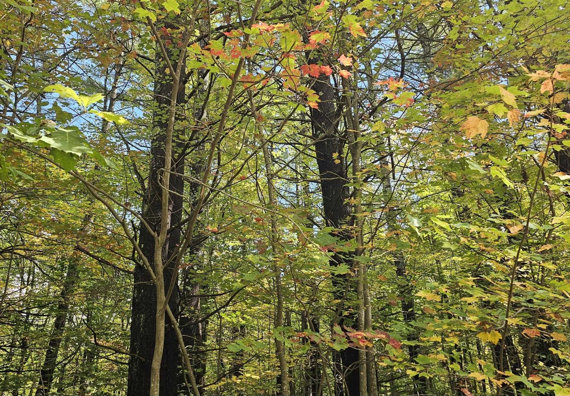 586 C-4 Craney Hill Road