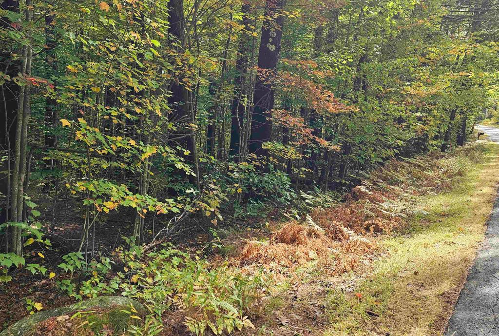 Photo of 5864 Craney Hill Road, Henniker, NH 03242 (MLS # 5063267)