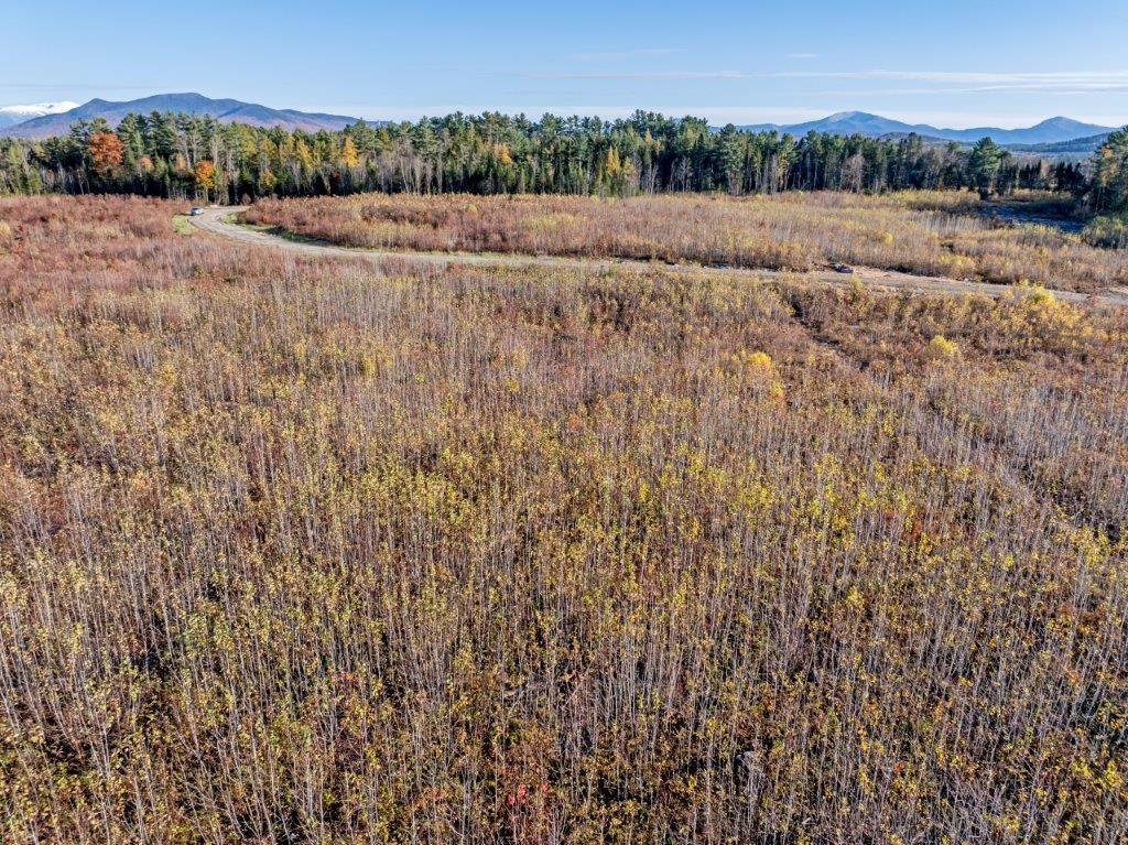 Lot 4 McIntyre Road
