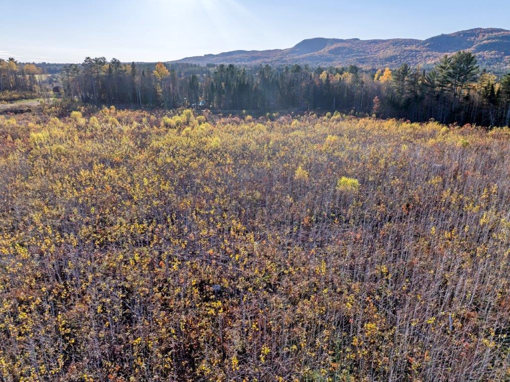Lot 4 McIntyre Road