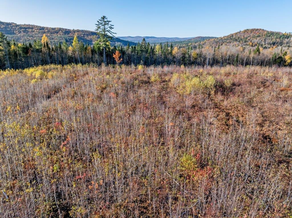 Lot 4 McIntyre Road