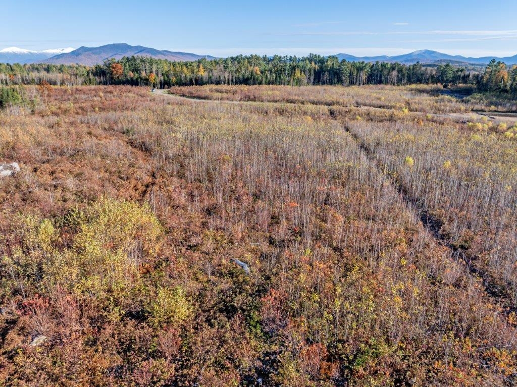 Lot 4 McIntyre Road