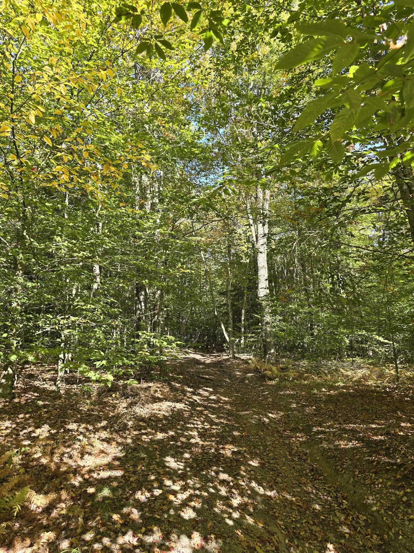 0 Klondike Road lot 2