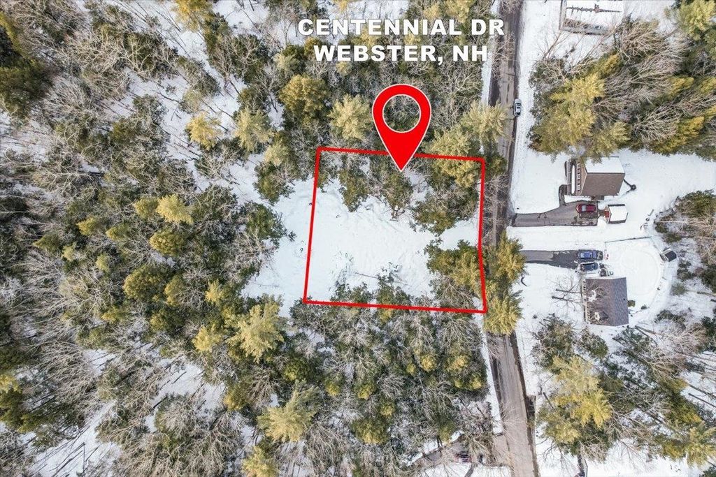 Photo of 100537 Centennial Drive, Webster, NH 03303 (MLS # 5078339)