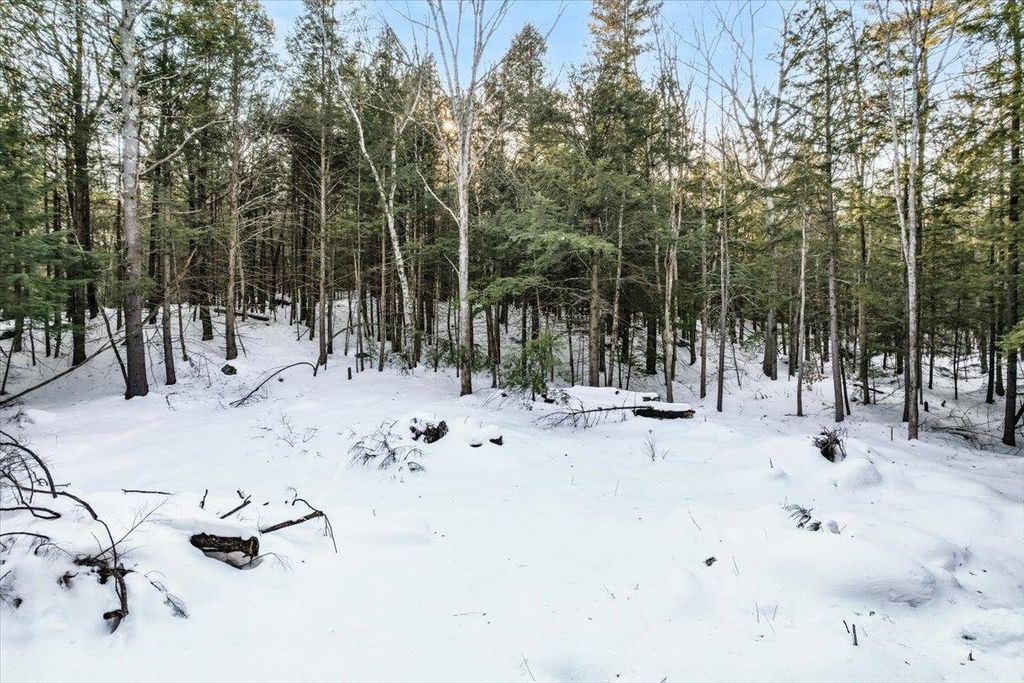 Photo of 100537 Centennial Drive, Webster, NH 03303 (MLS # 5078339)