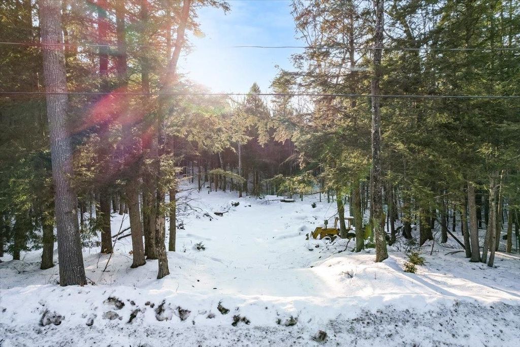 Photo of 100537 Centennial Drive, Webster, NH 03303 (MLS # 5078339)