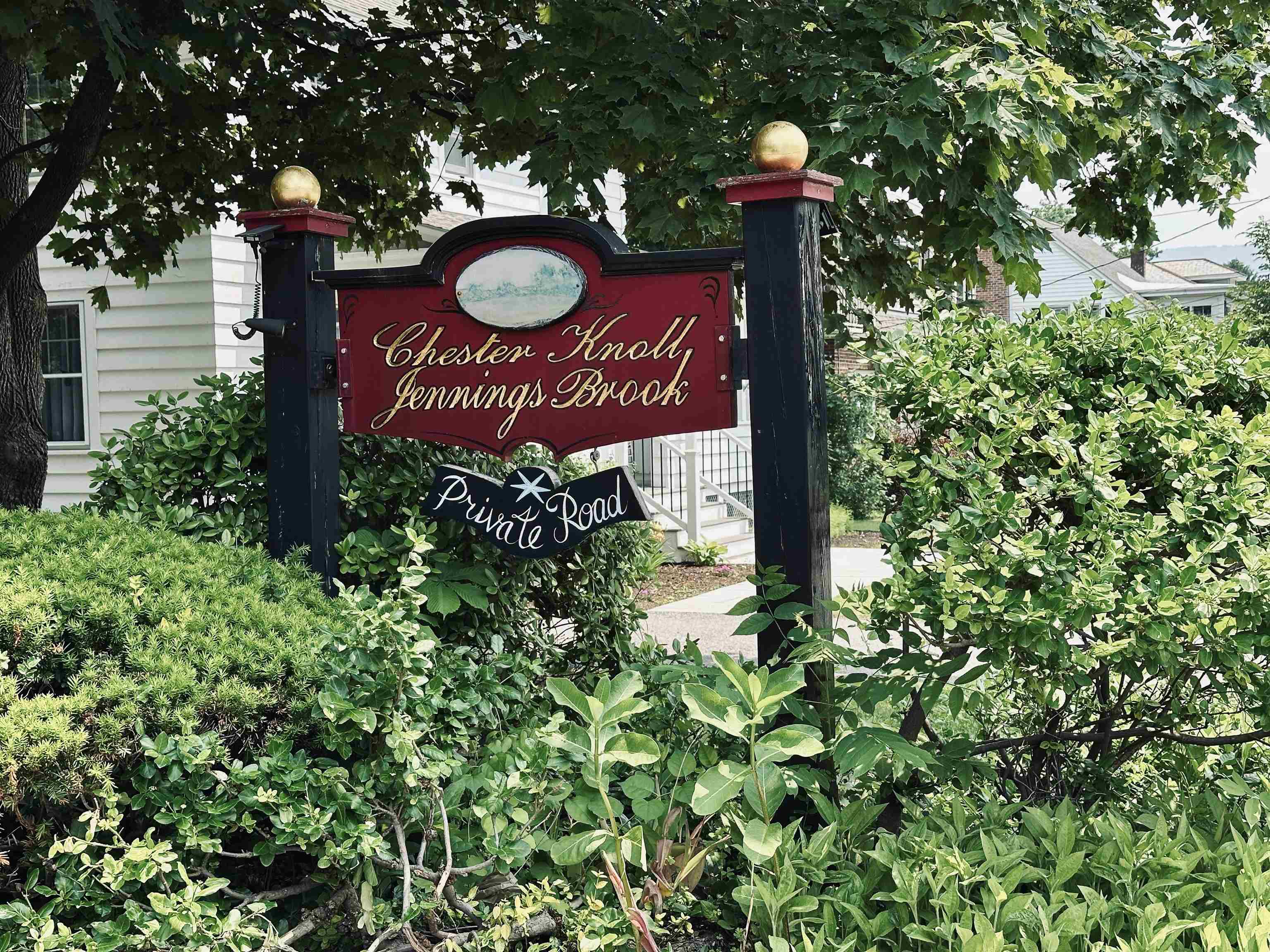 339 Chester Knoll Drive