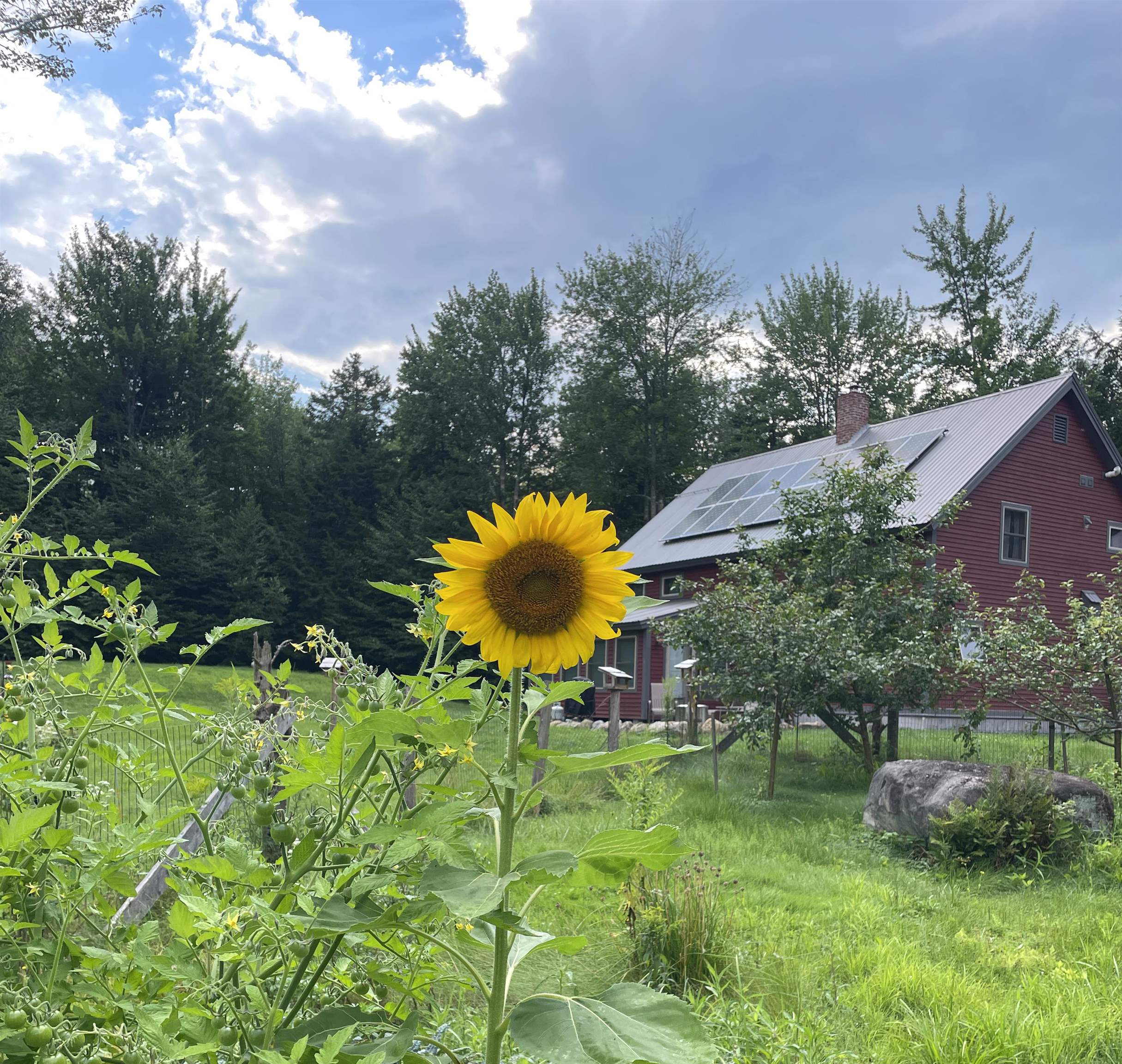 358 Tenney Hill Road