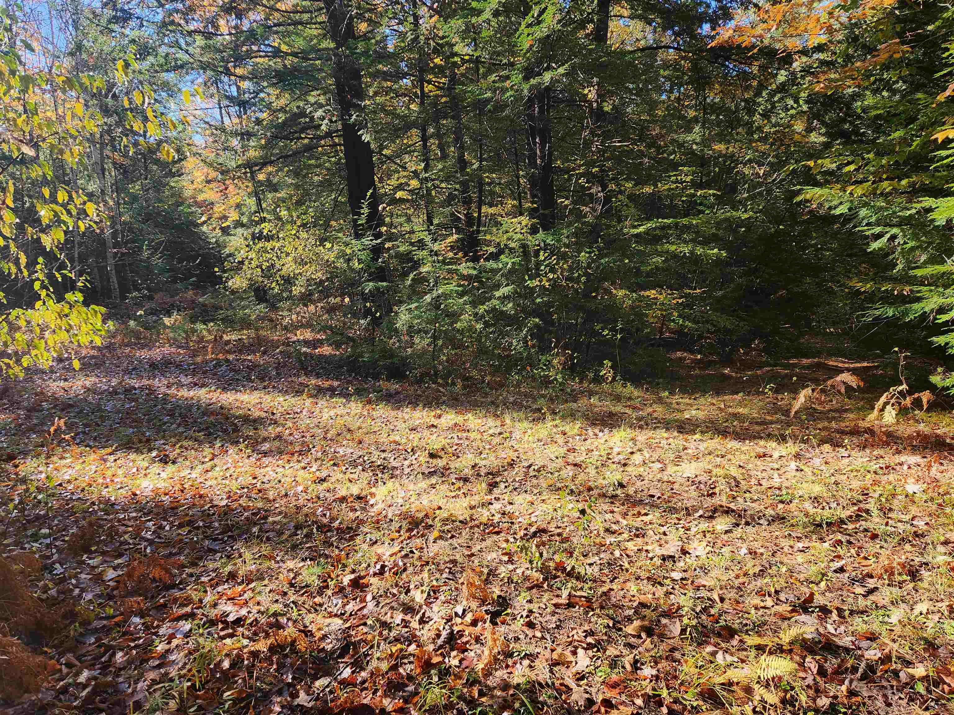 R02-13 Calef Hill Road