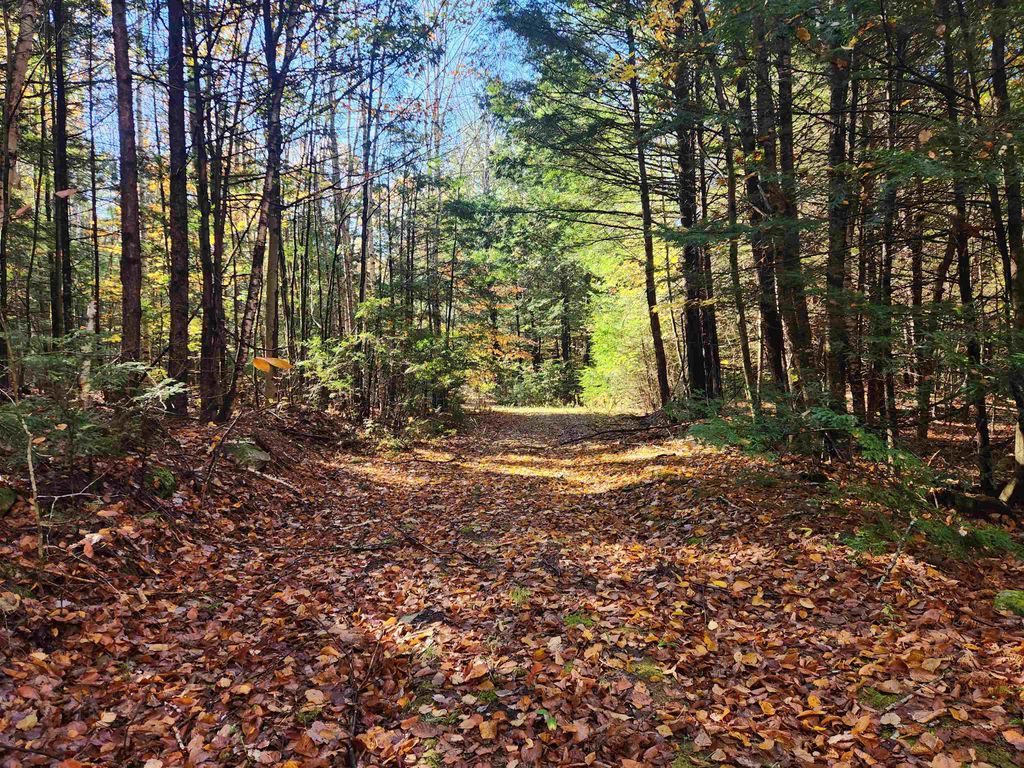 Photo of 213 Calef Hill Road, Tilton, NH 03276 (MLS # 5025204)