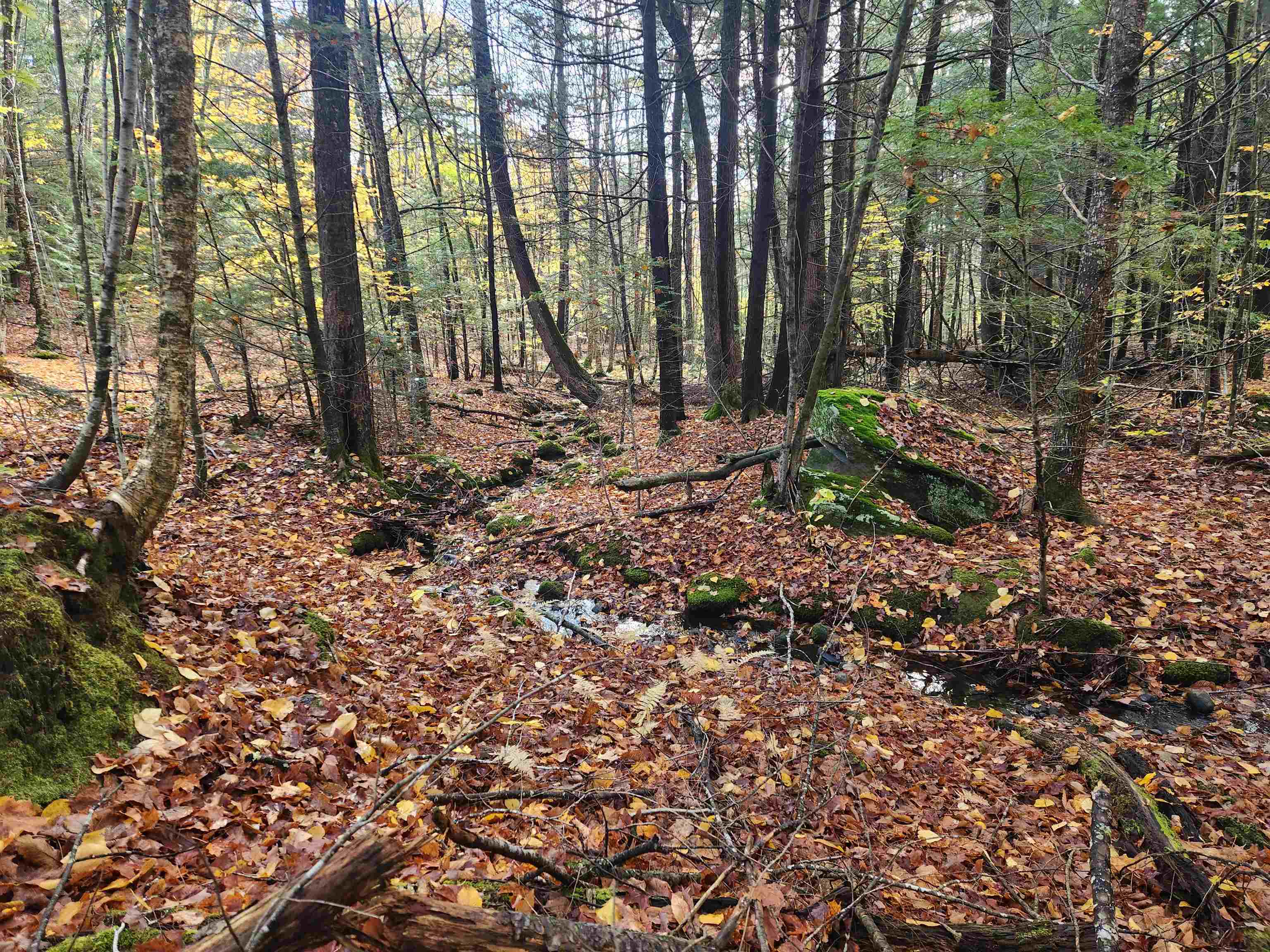 R02-13 Calef Hill Road