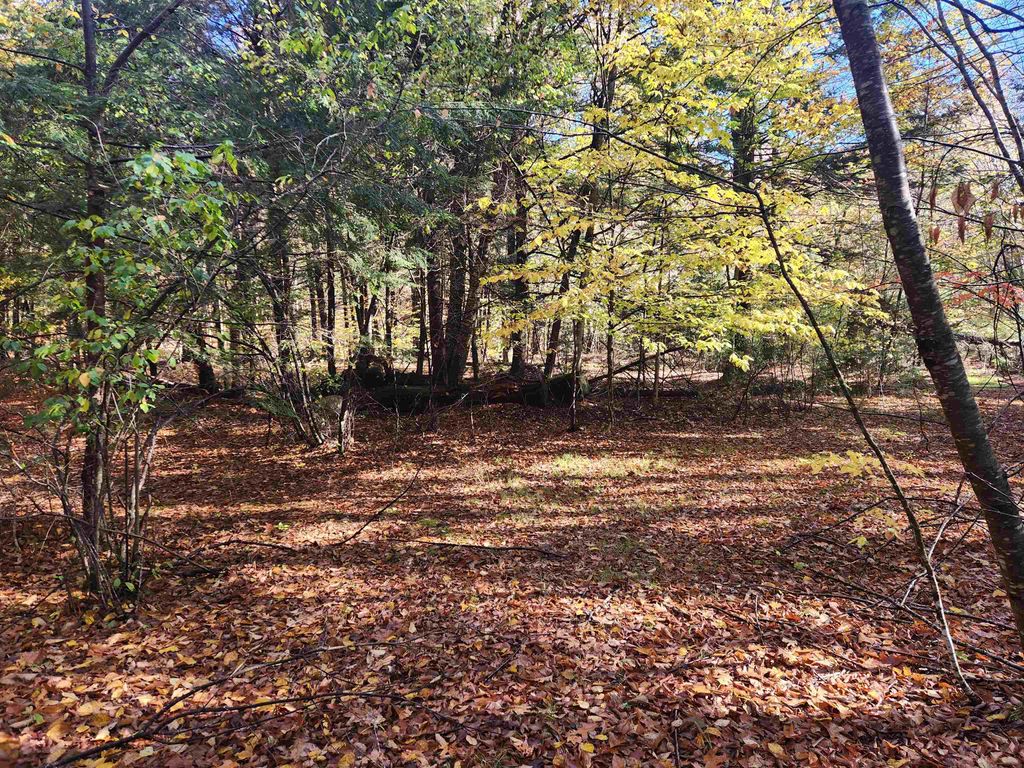 Photo of 213 Calef Hill Road, Tilton, NH 03276 (MLS # 5025204)