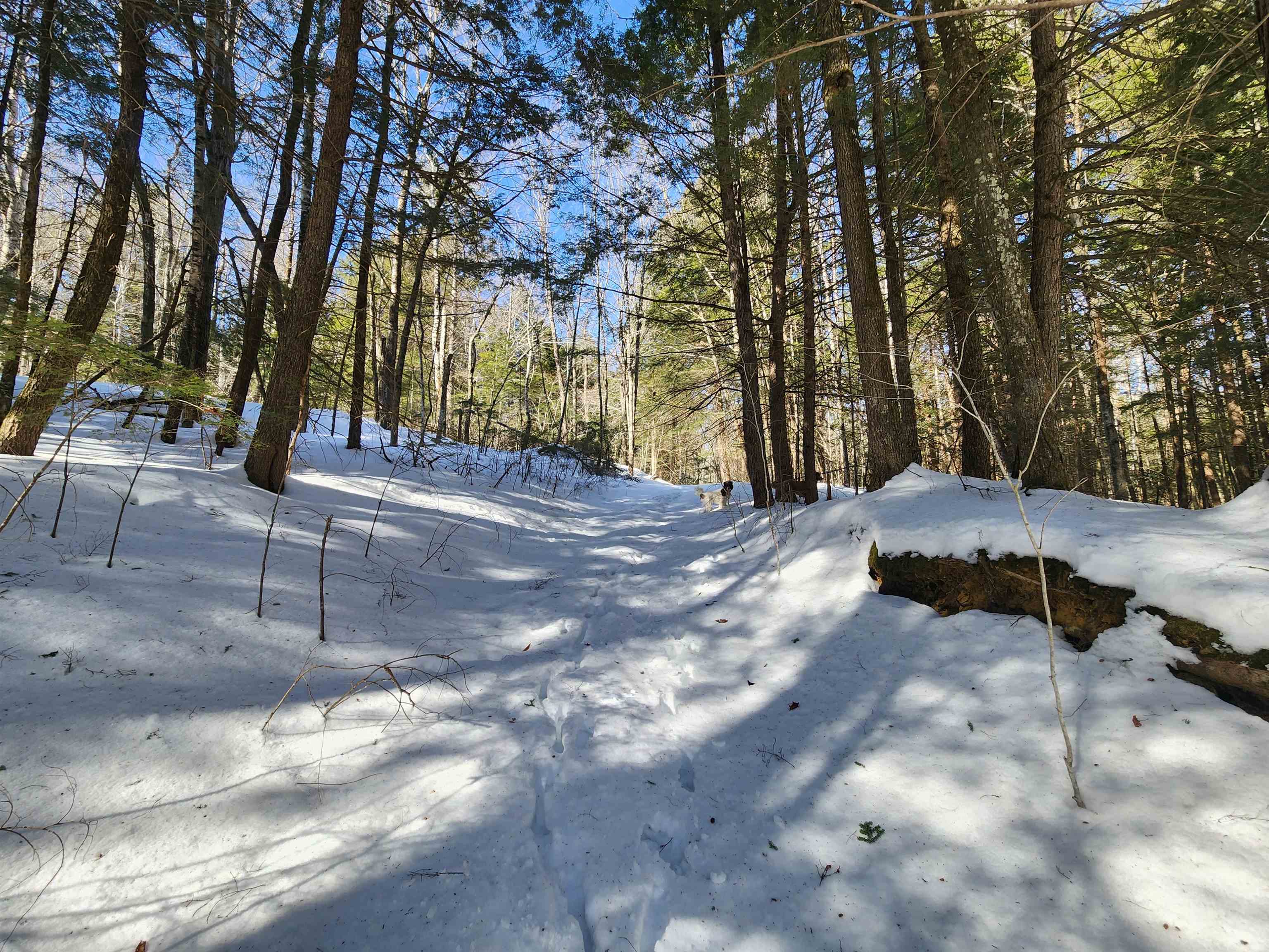 R02-13 Calef Hill Road