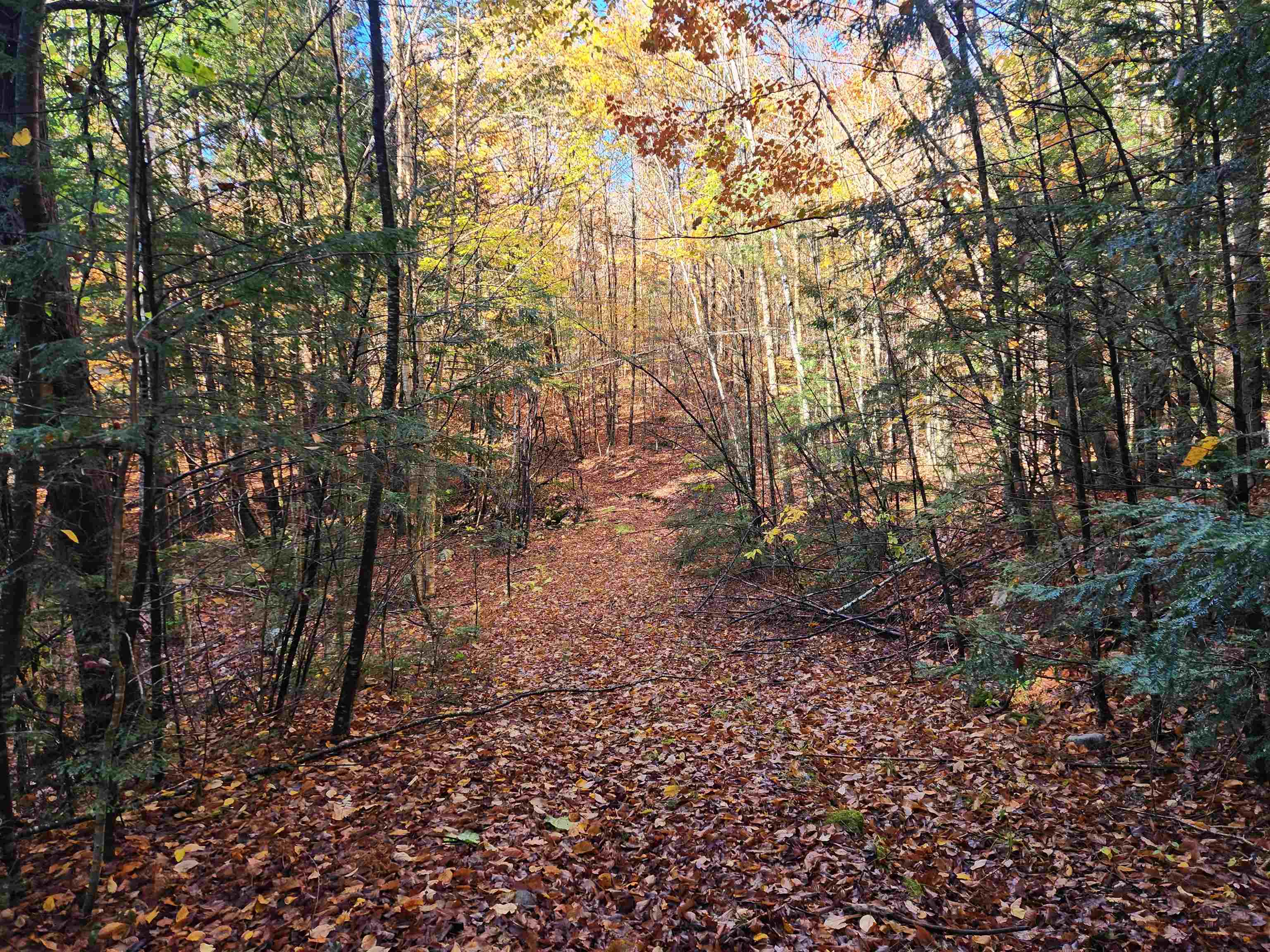 R02-13 Calef Hill Road