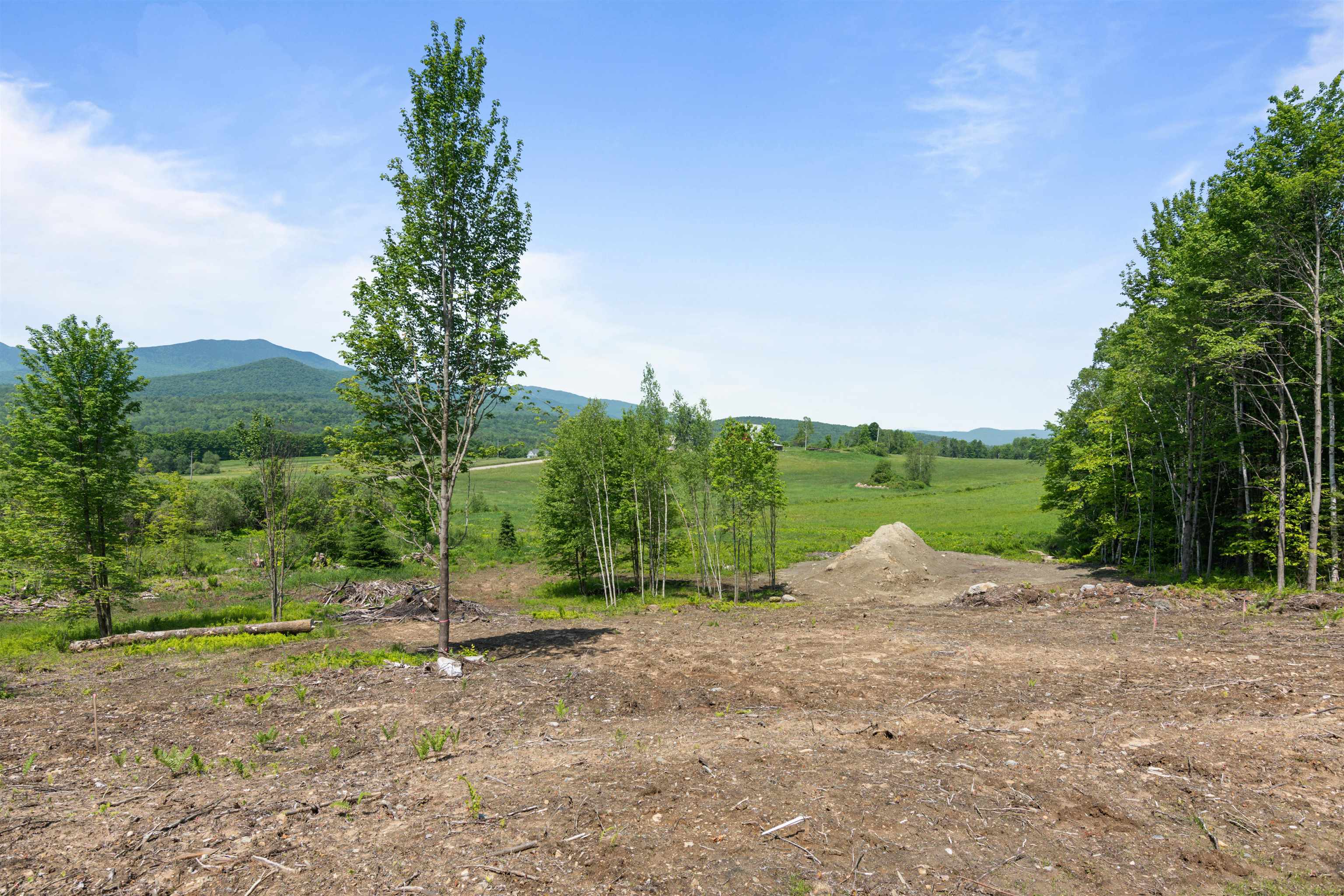 251 White Birch Road