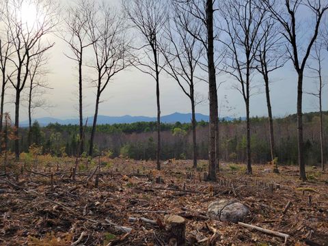 238-1-1.3 Maple Grove Road Madison NH 03849